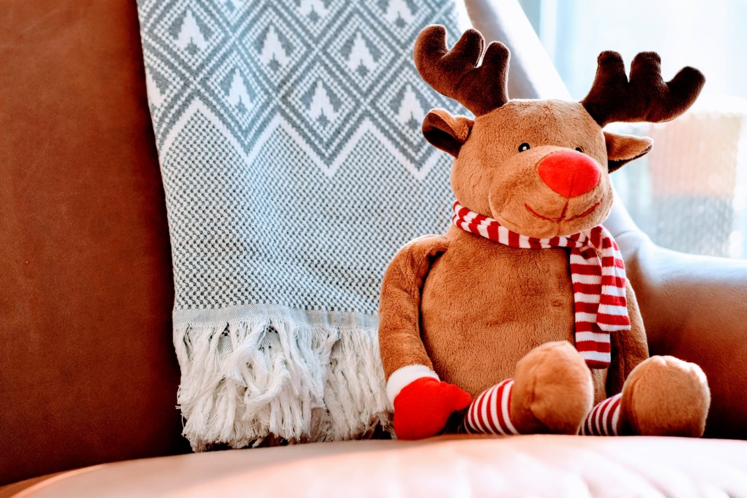 a stuffed bear sits on a couch