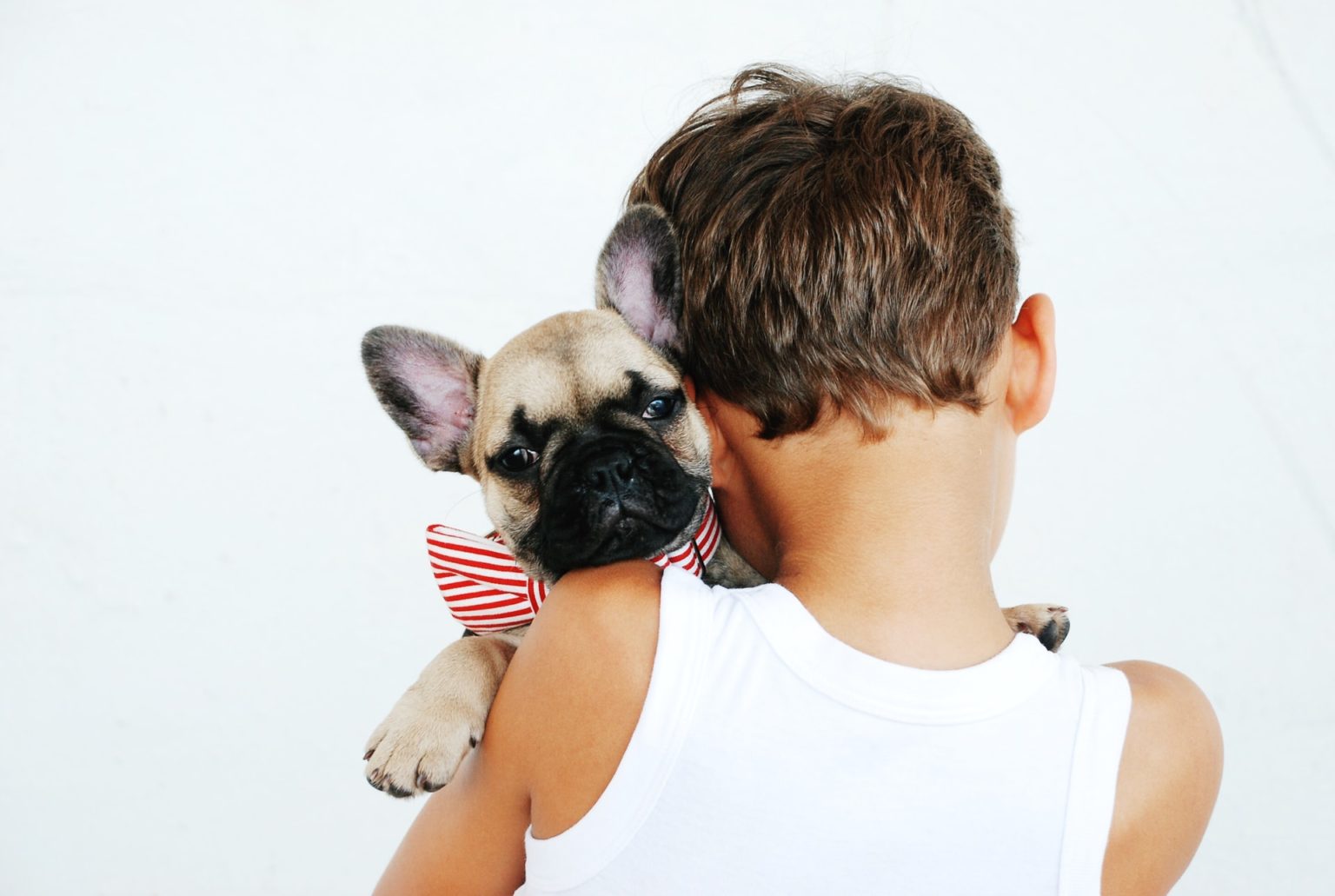 a person holding a dog